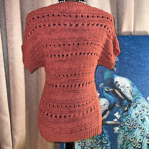 Architect Size PS Short Sleeve Coral Sweater - Picture 6 of 9